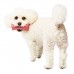MANDARINE BROTHERS Latex Bone Toy 